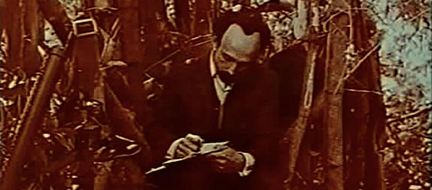 Páginas del diario de José Martí: la historia relatada