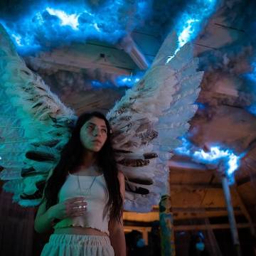 Efecto mariposa