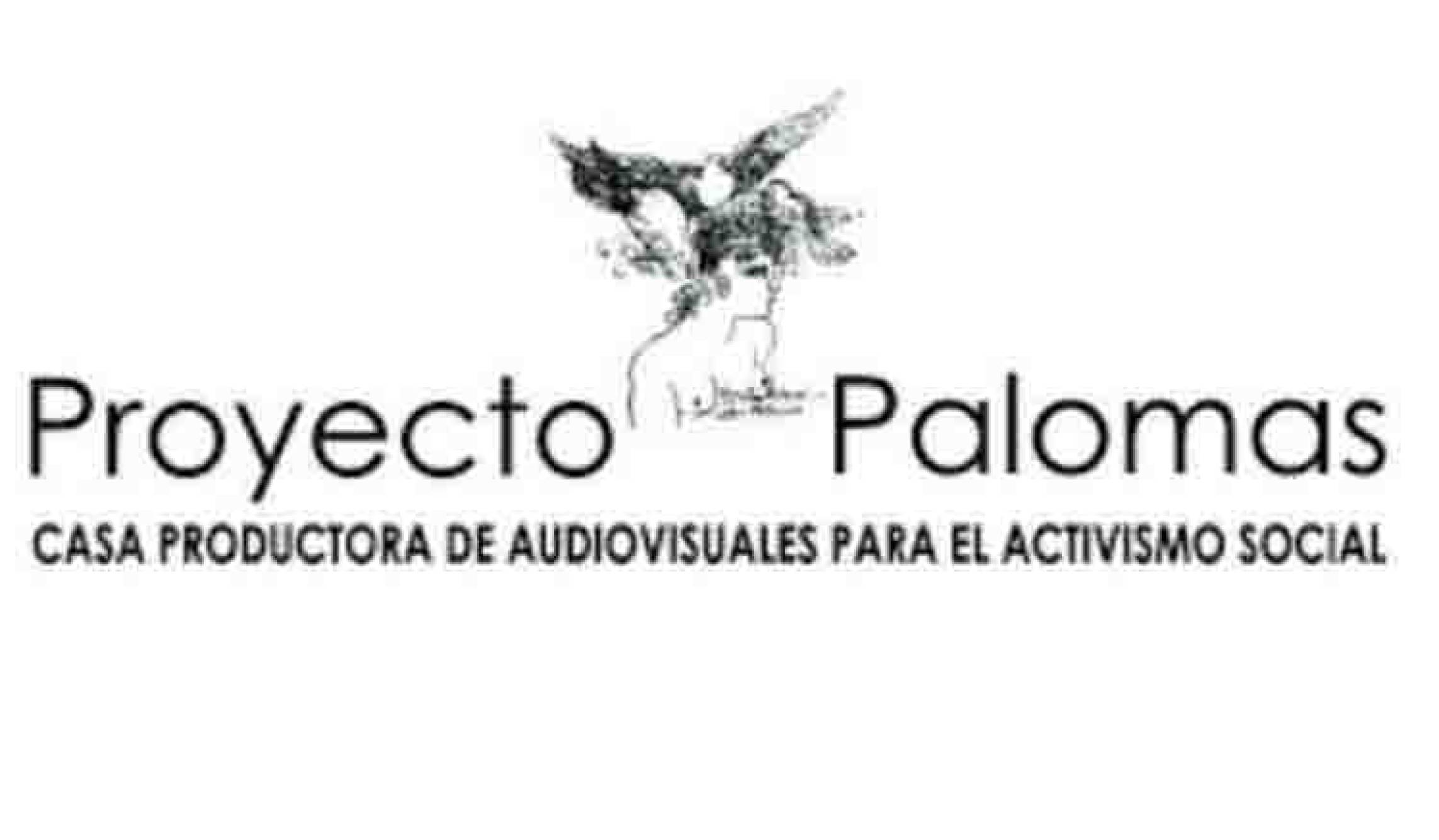 Proyecto Palomas: Creación audiovisual desde el arte y el activismo