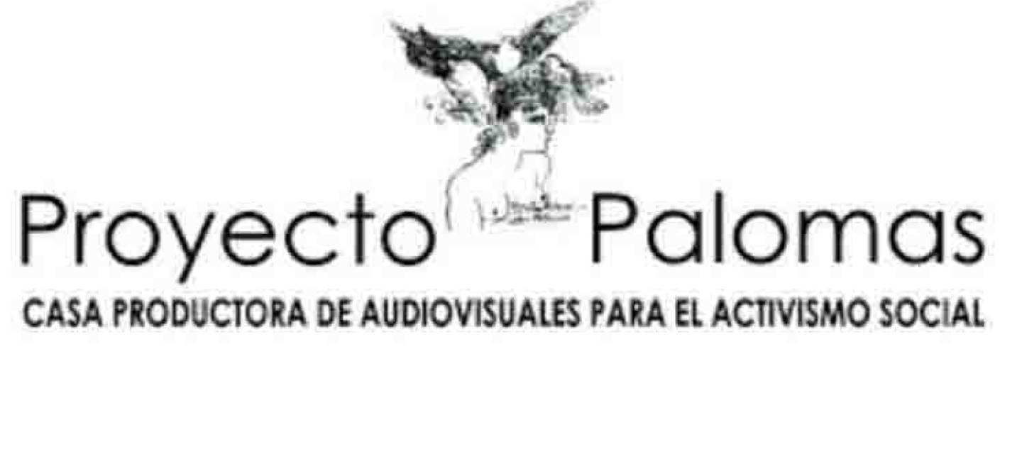 Proyecto Palomas: Creación audiovisual desde el arte y el activismo