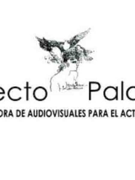 Proyecto Palomas: Creación audiovisual desde el arte y el activismo